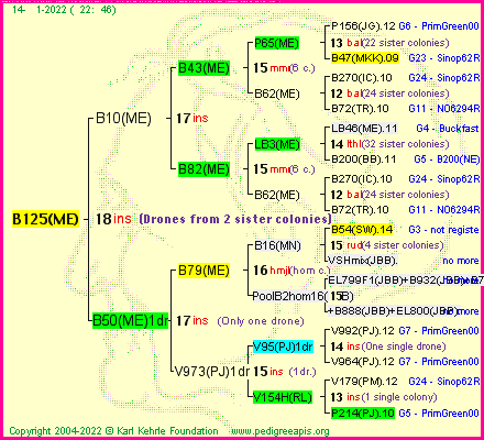 Pedigree of B125(ME) :
four generations presented
it's temporarily unavailable, sorry!