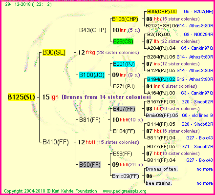 Pedigree of B125(SL) :
four generations presented<br />it's temporarily unavailable, sorry!