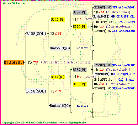 Pedigree of B125(SOL) :
four generations presented<br />it's temporarily unavailable, sorry!