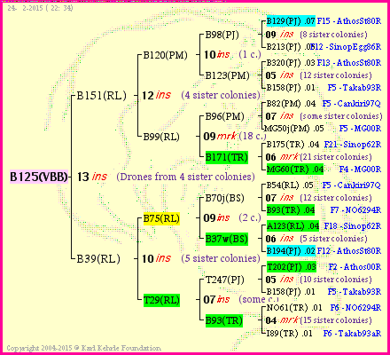 Pedigree of B125(VBB) :
four generations presented