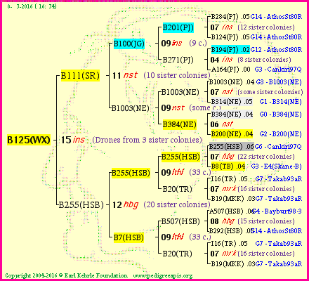 Pedigree of B125(WX) :
four generations presented
it's temporarily unavailable, sorry!