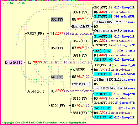 Pedigree of B126(FF) :
four generations presented