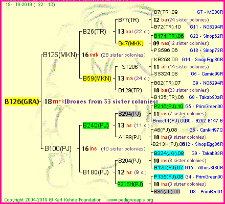 Pedigree of B126(GRA) :
four generations presented
it's temporarily unavailable, sorry!