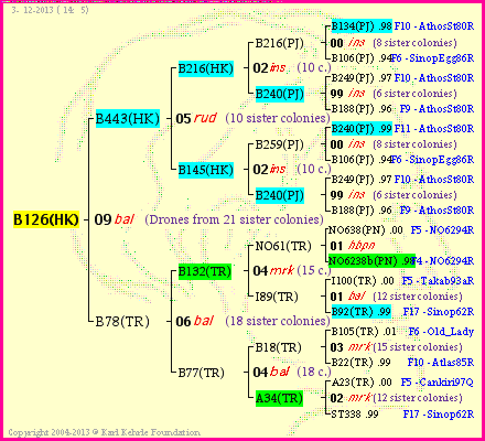 Pedigree of B126(HK) :
four generations presented