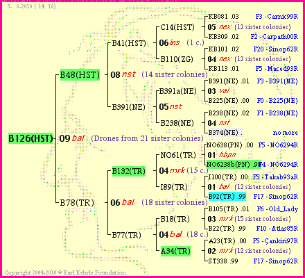 Pedigree of B126(HST) :
four generations presented