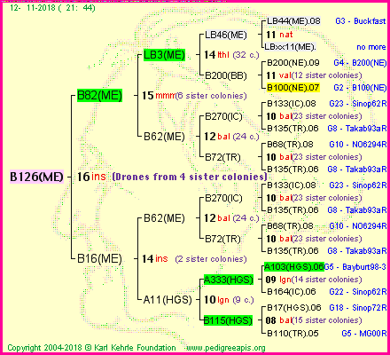 Pedigree of B126(ME) :
four generations presented
it's temporarily unavailable, sorry!