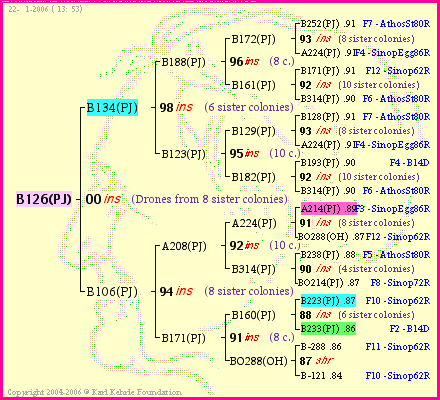 Pedigree of B126(PJ) :
four generations presented<br />it's temporarily unavailable, sorry!