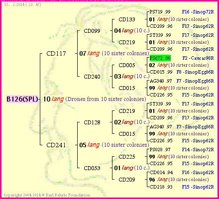 Pedigree of B126(SPL) :
four generations presented