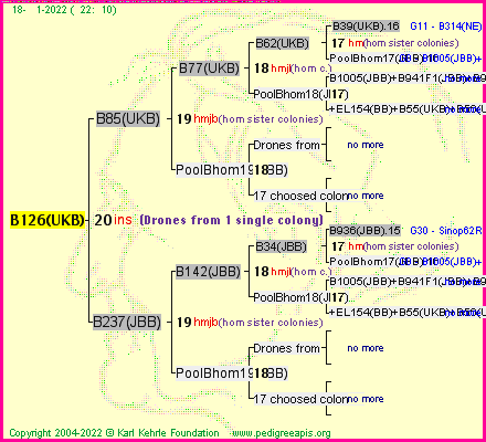 Pedigree of B126(UKB) :
four generations presented
it's temporarily unavailable, sorry!