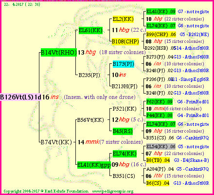 Pedigree of B126Vt(LS)1dr :
four generations presented<br />it's temporarily unavailable, sorry!