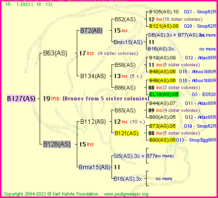 Pedigree of B127(AS) :
four generations presented
it's temporarily unavailable, sorry!