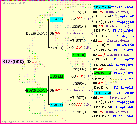 Pedigree of B127(DDG) :
four generations presented