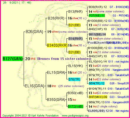 Pedigree of B127(GRA) :
four generations presented
it's temporarily unavailable, sorry!