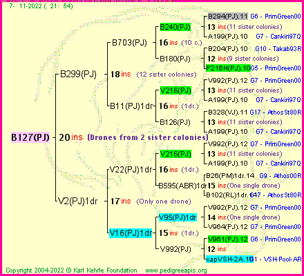 Pedigree of B127(PJ) :
four generations presented
it's temporarily unavailable, sorry!