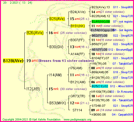 Pedigree of B128(AVe) :
four generations presented
it's temporarily unavailable, sorry!