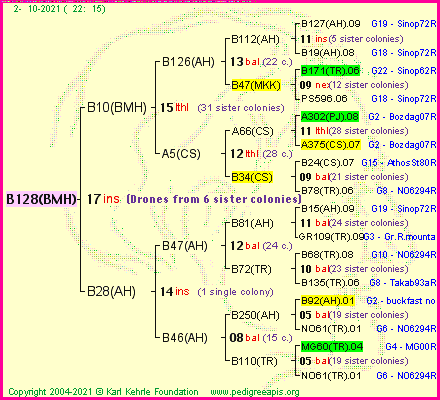 Pedigree of B128(BMH) :
four generations presented
it's temporarily unavailable, sorry!