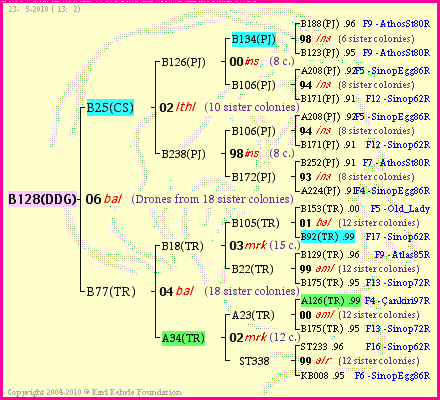 Pedigree of B128(DDG) :
four generations presented