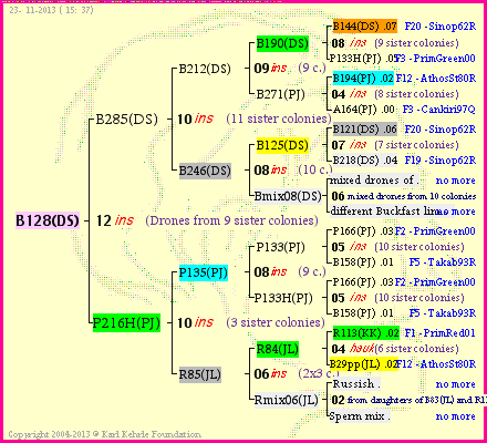 Pedigree of B128(DS) :
four generations presented