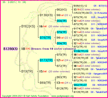 Pedigree of B128(KS) :
four generations presented
it's temporarily unavailable, sorry!