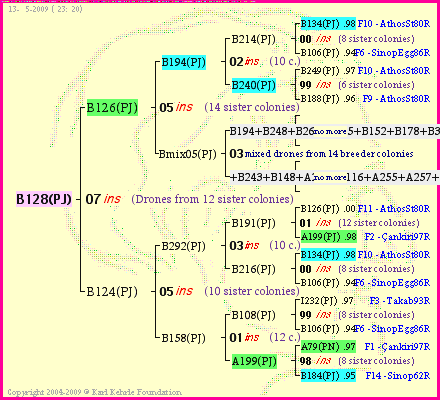 Pedigree of B128(PJ) :
four generations presented