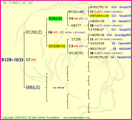 Pedigree of B128-1(LE) :
four generations presented
it's temporarily unavailable, sorry!