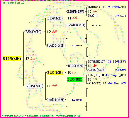 Pedigree of B129(MH) :
four generations presented