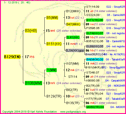 Pedigree of B129(TN) :
four generations presented
it's temporarily unavailable, sorry!