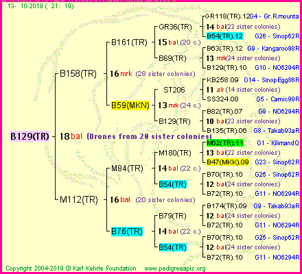 Pedigree of B129(TR) :
four generations presented
it's temporarily unavailable, sorry!