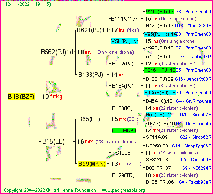 Pedigree of B13(BZF) :
four generations presented
it's temporarily unavailable, sorry!