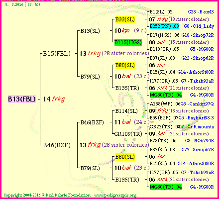 Pedigree of B13(FBL) :
four generations presented