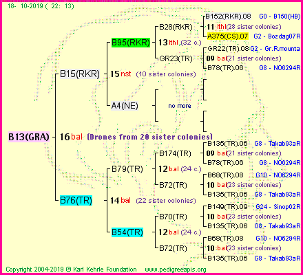 Pedigree of B13(GRA) :
four generations presented
it's temporarily unavailable, sorry!