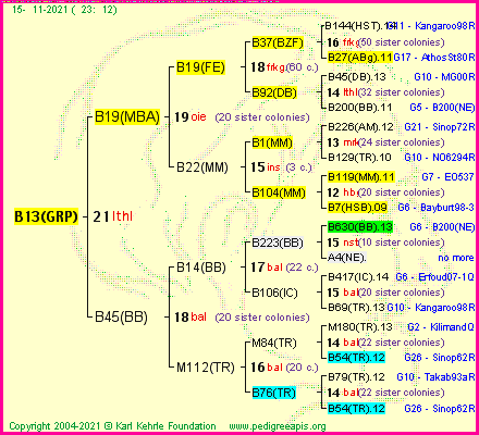 Pedigree of B13(GRP) :
four generations presented
it's temporarily unavailable, sorry!