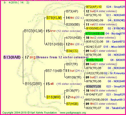 Pedigree of B13(HAR) :
four generations presented<br />it's temporarily unavailable, sorry!