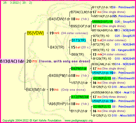 Pedigree of B13(IAC)1dr :
four generations presented
it's temporarily unavailable, sorry!