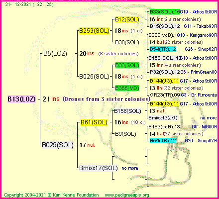 Pedigree of B13(LOZ) :
four generations presented
it's temporarily unavailable, sorry!