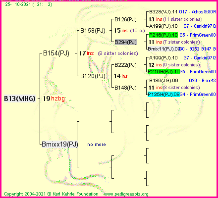 Pedigree of B13(MHG) :
four generations presented
it's temporarily unavailable, sorry!