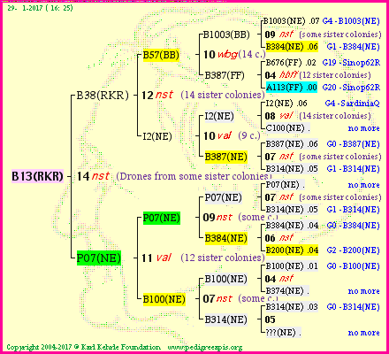 Pedigree of B13(RKR) :
four generations presented<br />it's temporarily unavailable, sorry!