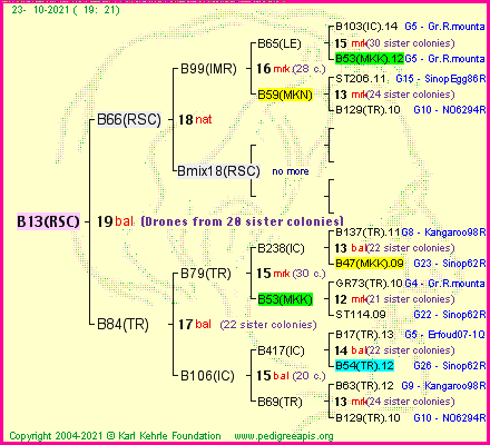 Pedigree of B13(RSC) :
four generations presented
it's temporarily unavailable, sorry!