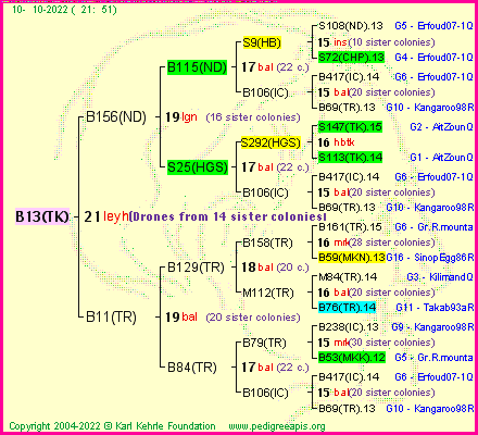 Pedigree of B13(TK) :
four generations presented
it's temporarily unavailable, sorry!