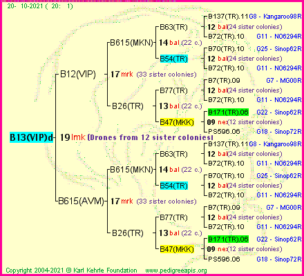 Pedigree of B13(VIP)d :
four generations presented
it's temporarily unavailable, sorry!