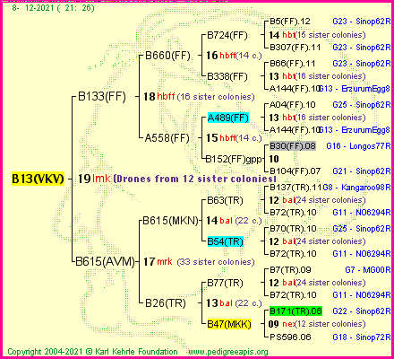 Pedigree of B13(VKV) :
four generations presented
it's temporarily unavailable, sorry!