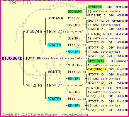 Pedigree of B130(BGM) :
four generations presented
it's temporarily unavailable, sorry!