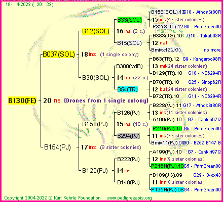 Pedigree of B130(FE) :
four generations presented
it's temporarily unavailable, sorry!