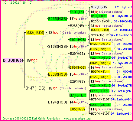 Pedigree of B130(HGS) :
four generations presented
it's temporarily unavailable, sorry!