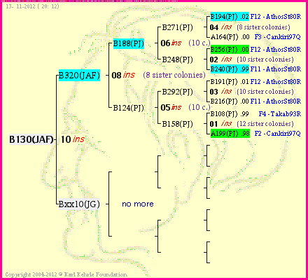 Pedigree of B130(JAF) :
four generations presented<br />it's temporarily unavailable, sorry!