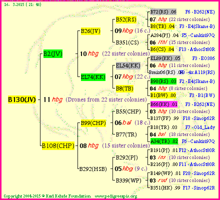 Pedigree of B130(JV) :
four generations presented