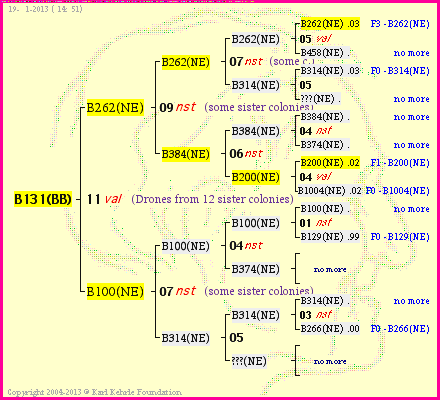 Pedigree of B131(BB) :
four generations presented