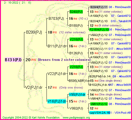 Pedigree of B131(PJ) :
four generations presented
it's temporarily unavailable, sorry!