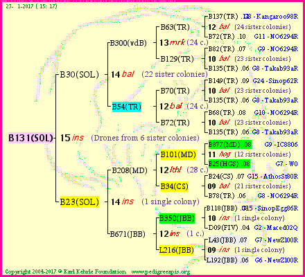 Pedigree of B131(SOL) :
four generations presented
it's temporarily unavailable, sorry!