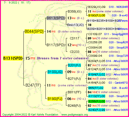 Pedigree of B131(SPD) :
four generations presented
it's temporarily unavailable, sorry!